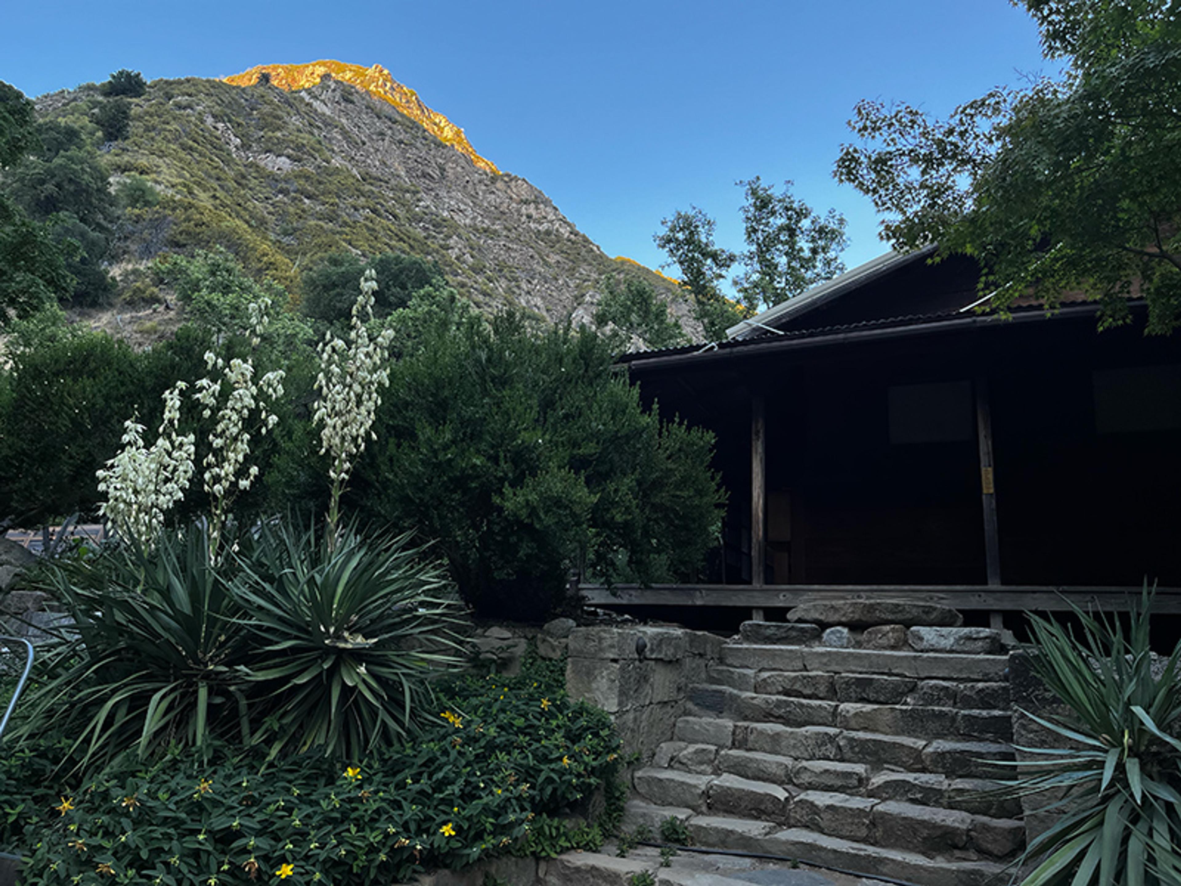Photo of stone steps leading to a wooden building surrounded by plants with a sunlit hill in the background.