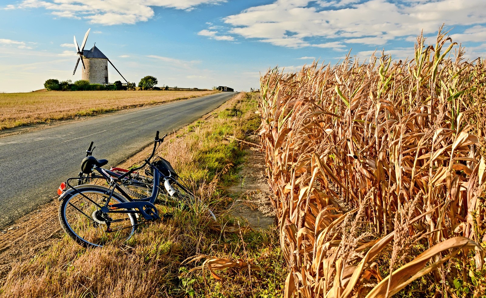 Two bicycles resting by a road and a cornfield, with Moulin de Moidrey windmill in the background.