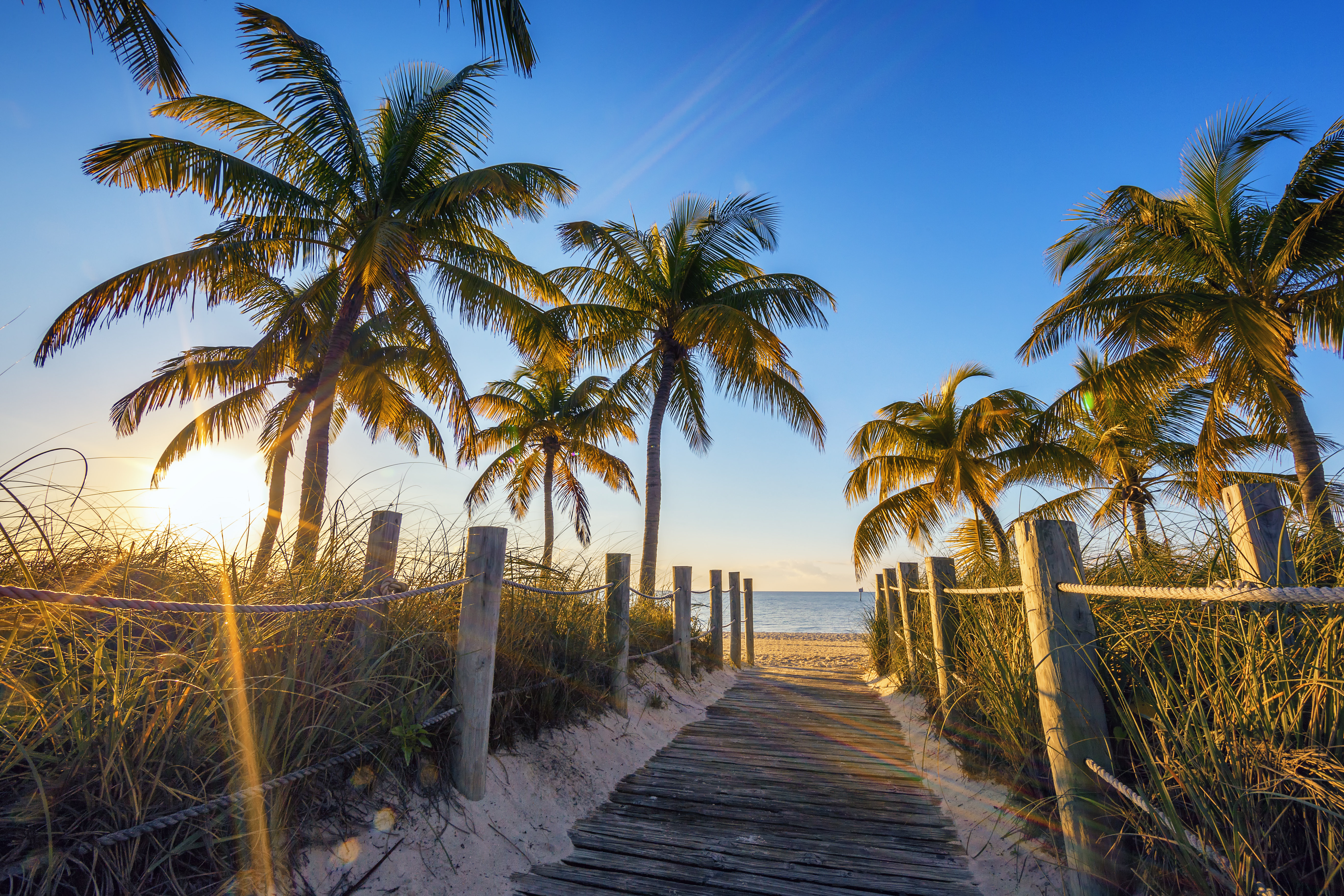 Wooden boardwalk leading to a beach at sunrise, lined with palm trees.