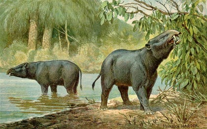 The Moeritherium from North and West Africa – an early elephant relative with a short trunk, standing about 70 centimeters tall.