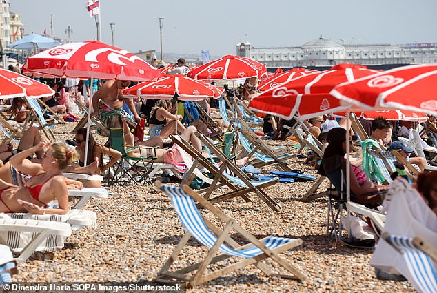The researchers say that warm weather increases people's hydration needs. For those who are accustomed to drinking sweetened drinks, this leads to increased sugar consumption. Pictured: Sunbathers on Brighton Beach during the summer heatwave on August 12