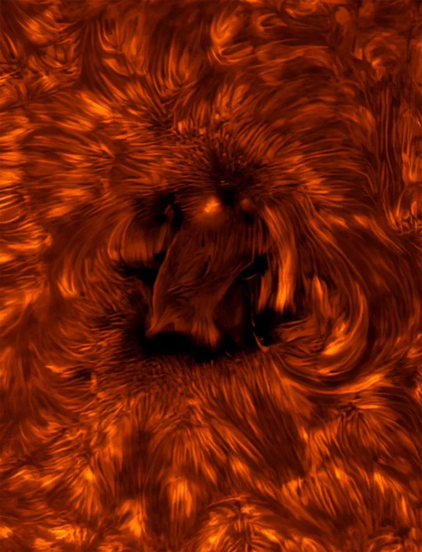 Active Region of the Sun's Chromosphere © James Sinclair (USA). Winner, Our Sun. Equipment: Lunt 130 mm telescope with double-stacked Etalons, Lunt Block Filter 3400 (34 mm), Sky-Watcher EQ6 R Pro mount, Player One Astronomy Apollo-M Max camera, 910 mm f/28. Location: Cedar City, Utah, USA, 30 September 2024