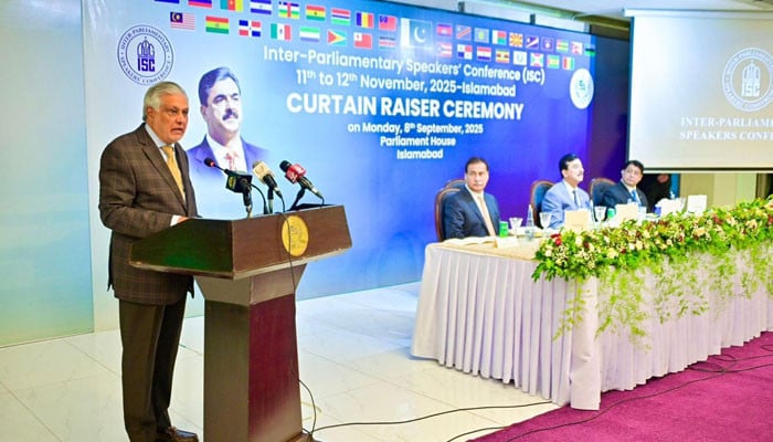 Pakistan won’t sit idle over climate crisis: Dar