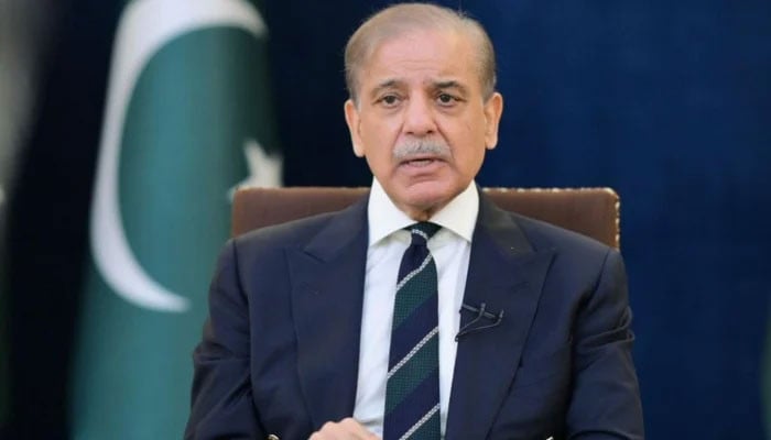 PM wants IMF nod for power bills relief in flood-hit areas