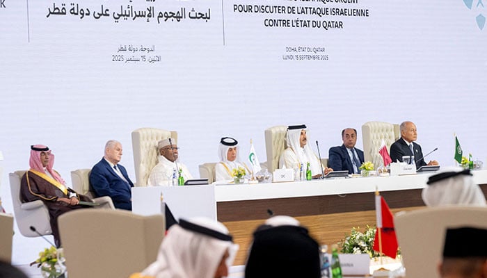 Arab-Islamic Summit calls for sanctions, review of Israel relations