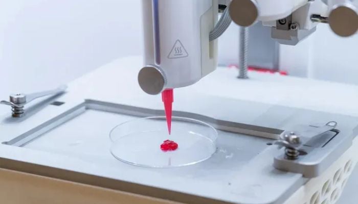 Scientists create 3D printed artificial skin that allows blood circulation
