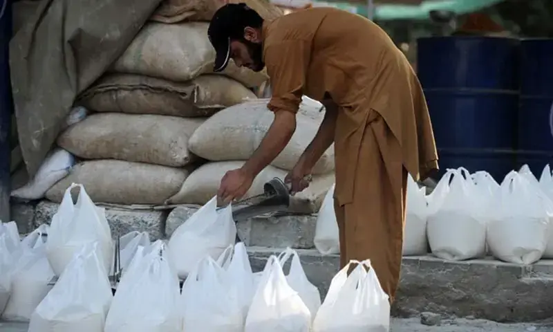 Punjab’s wheat restrictions trigger domino effect – Pakistan