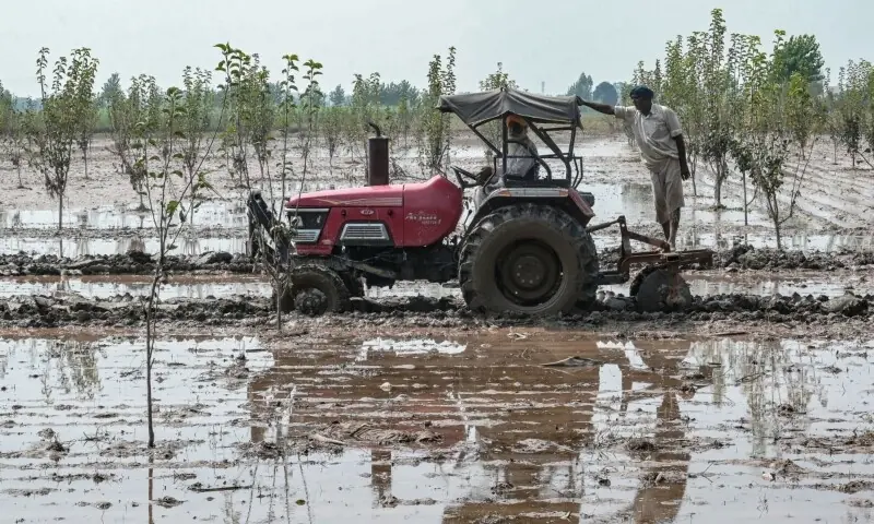 Floods devastate India’s breadbasket – Newspaper