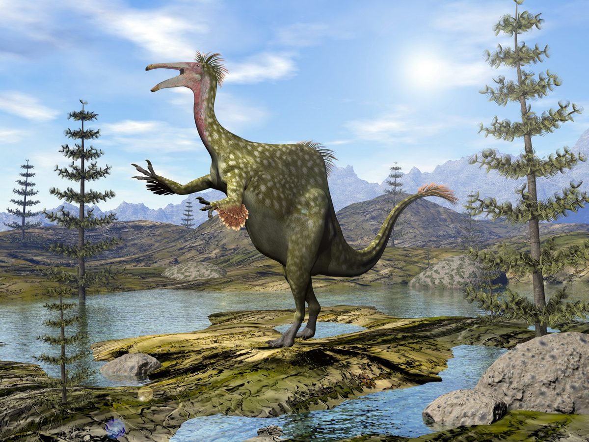 10 weirdest dinosaurs ever, from a crazed two-legged hedgehog look-a-like to one that resembled a cross between a duck, camel and giant sloth