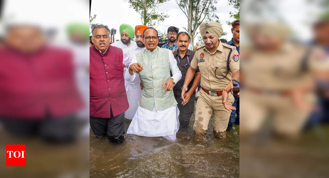 Khudian accompanies agri min Shivraj Chouhan, seeks immediate relief from Centre | Chandigarh News