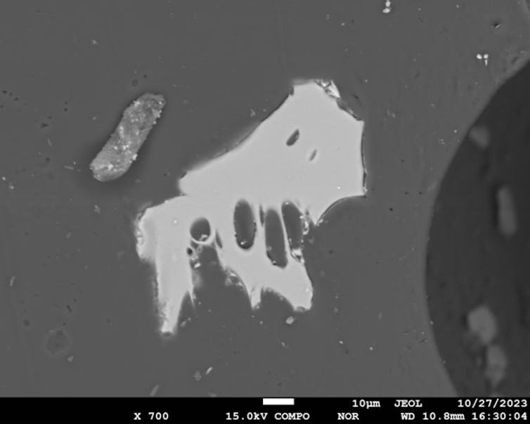 Black and white image of a lighter gray blob with a few dark spots on it embedded in a darker grey background.