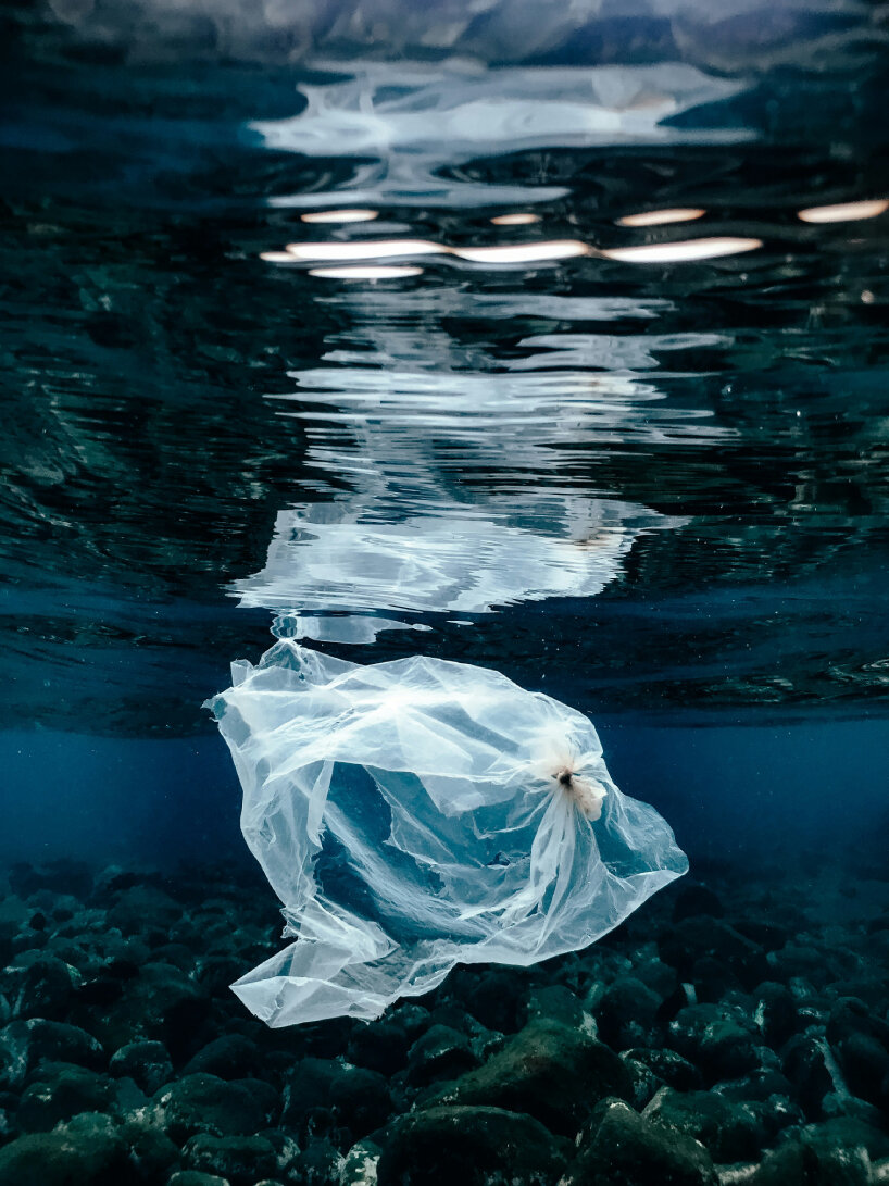 image by Naja Bertolt Jensen