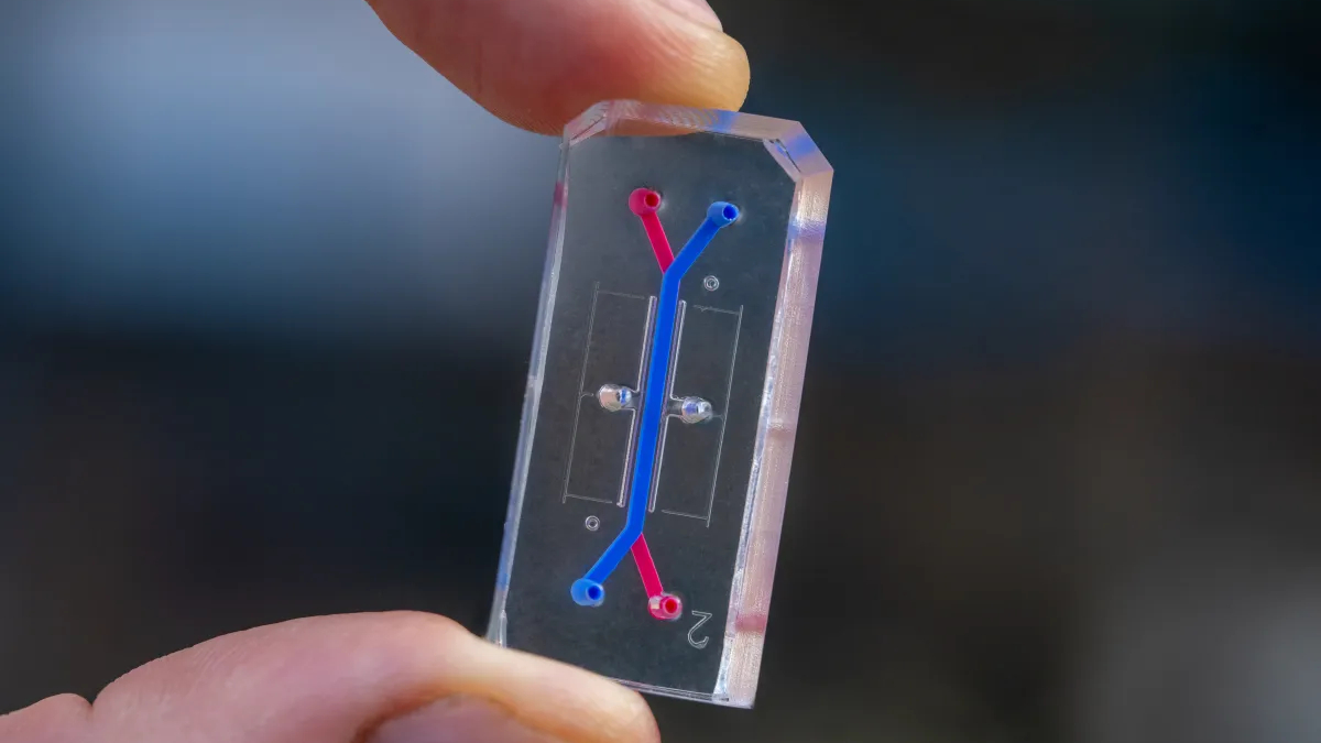 two fingers hold a small transparent pane with intersecting red and blue lines.