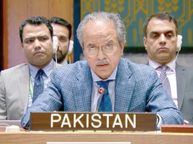 Cross-border terrorism intolerable, UNSC toldQ