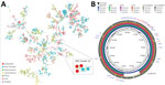 Phylogeny and related plasmids detected in extended-spectrum β-lactamase (ESBL)–producing Klebsiella pneumoniae in human and food samples, Switzerland, 2018–2019. A) MST of 972 Klebsiella pneumoniae sequence type 14 international samples based on core-genome multilocus sequence typing (cgMLST) profiles (K. pneumoniae sensu lato cgMLST version 1.0 in SeqSphere+ version 9.0.0 [Ridom, https://www.ridom.de]). Inset image shows detail the mixed MST cluster 22. Color-filled circles denote the different geographic origin. Isolates of the same cluster (<15 allelic differences) are surrounded by a colored shadow. Numbers in connecting lines represent allelic distance values. B) Circular BLAST Ring Image Generator (BRIG, https://github.com/happykhan/BRIG) comparison of the ESBL plasmids from isolates in this study. Plasmid pWP2-W18-ESBL-06_2 (accession no. NZ_AP021931; blue ring) was identified as the closest hit in the Plasmid Database version 2023_11_03_v2 (Universität des Saarlands, https://ccb-microbe.cs.uni-saarland.de/plsdb2025). Plasmid of the food isolate (F0067) ESBL-producing K. pneumoniae shown in green. Patient A isolate (P0745) shown in pink ring; patient B isolate (P1134) shown in orange ring. Brown-gray rings show short-read assembly from isolates GCA_21938715 and GCA_021820535 from the University Hospital Jena, Jena, Germany. Color intensity of concentric rings represents percent identity to the reference plasmid, pWP2-W18-ESBL-06_2. GC content and plasmid length are displayed as inner rings. Outer rings show antimicrobial resistance genes (red font), replicons (black font), and IS and Tn (blue font) sequences. IS, insertion sequence; MST, minimum spanning tree; Tn, transposon.