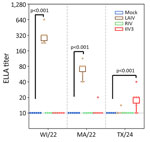 Neuraminidase-inhibiting antibody titers measured by using ELLA in study of the effect of seasonal influenza vaccines on influenza A(H5N1) clade 2.3.4.4b virus infection in ferrets. n = 6 ferrets per the vaccinated group, n = 12 ferrets in the mock vaccinated group. Colored dots indicate individual values, horizontal lines within boxes represent geometric mean titers, box tops and bottoms indicate interquartile ranges, and error bars indicate limits of the distribution. Dotted gray horizontal line indicates limit of detection. ELLA, enzyme-linked lectin assay; IIV3, Fluarix trivalent inactivated influenza vaccine (GlaxoSmithKline Biologicals, https://www.gsk.com); LAIV, FluMist live attenuated influenza vaccine (AstraZeneca, https://www.astrazeneca.com); MA/22, A/Massachusetts/18/2022(H3N2); RIV, Flublok recombinant influenza vaccine (Sanofi, https://www.sanofi.com); TX/24, A/Texas/37/2024(H5N1); WI/22, A/Wisconsin/67/2022(H1N1pdm09).