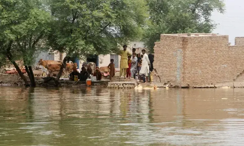 Many helpless as flood relief work ends in Alipur – Pakistan