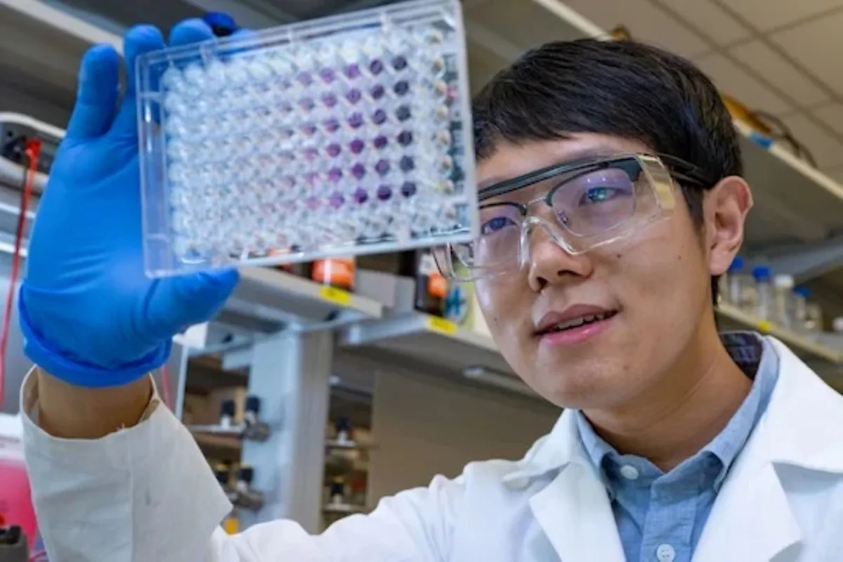 ‘Could transform nutrition and medicine’