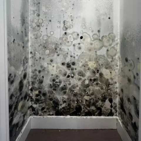 Current and past residents of The Fold A white wall covered in extensive black and grey mould patches.