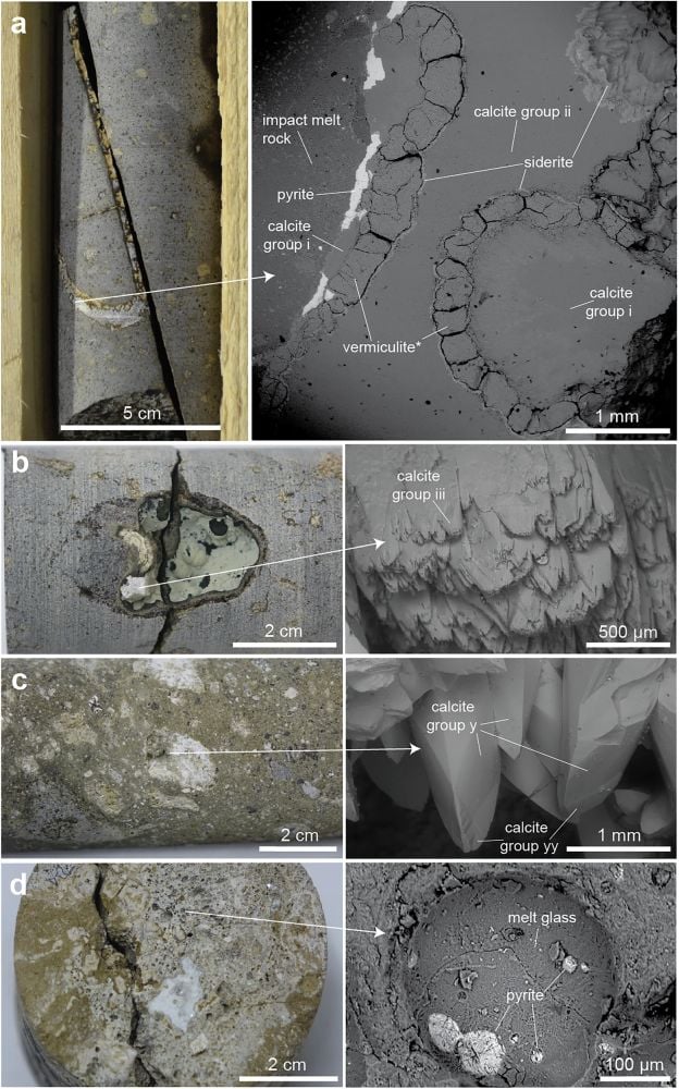 This figure shows some of the findings. The pyrite is of particular interest. The 34Sulfur-depleted pyrite is consistent with microbial sulfate reduction. It formed about five million years after the impact when the hydrothermal system had cooled to temperatures that were habitable for life. The calcite is another powerful biosignature, and it appeared 10 million years post-impact, indicating that microbes thrived here for millions of years. Image Credit: Gustafsson et al. 2025 NatComm