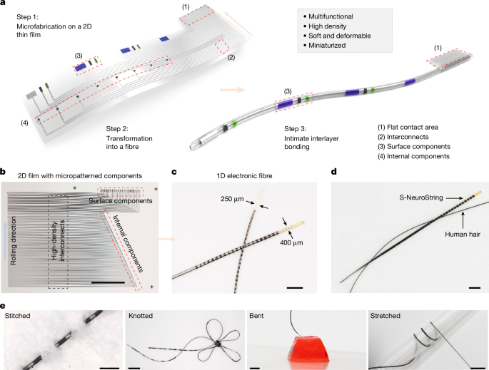 High-density soft bioelectronic fibres for multimodal sensing and stimulation