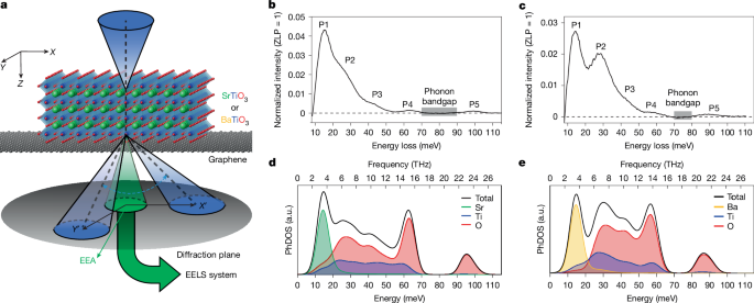 Atomic-scale imaging of frequency-dependent phonon anisotropy