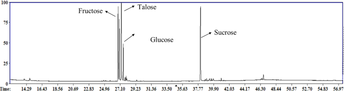 Metabolomic and antioxidant characterization of seven Egyptian and Saudi date syrups via GC-MS and UHPLC/MS with sensory bioactive insights
