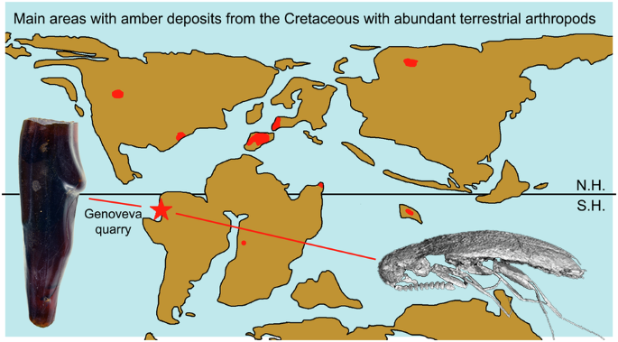 Cretaceous amber of Ecuador unveils new insights into South America’s Gondwanan forests
