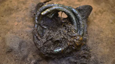 Guard Archaeology A close up image showing the artefacts before they were cleaned up. The artefacts are held together by a clumped tree bast, the inner bark of a tree. The ring-like bronze objects look like they are covered in a brown, sticky substance.
