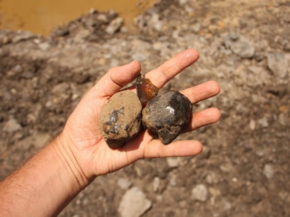 ecuador amber