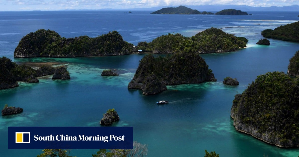 Indonesian nickel mine reopened despite environmental outcry
