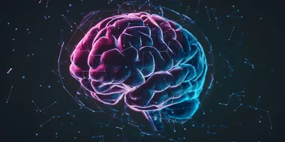 Reliable fluid biomarkers strategies for clinical neuroscience research