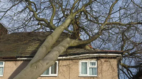 Getty Images A fallen tree with the trunk and branches having landed on the roof of a house which is damaged.