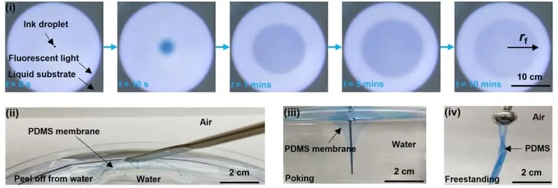 HydroSpread fabrication and characterization of soft thin films on water solution surface. (CREDIT: Science Advances)
