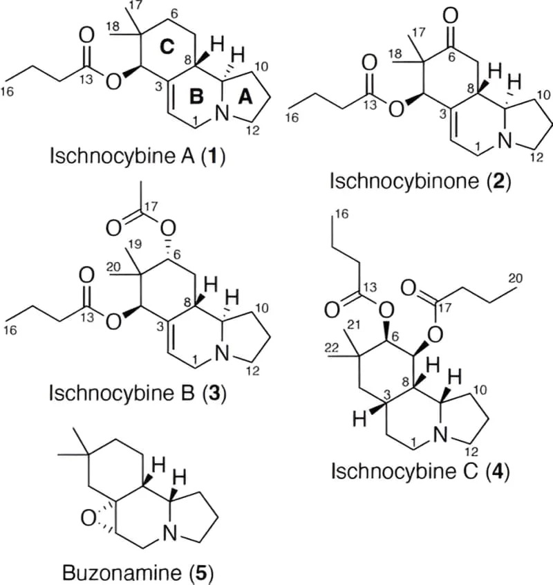 Key 2D NMR correlations and coupling constants. (CREDIT: Emily Mevers, et al.)