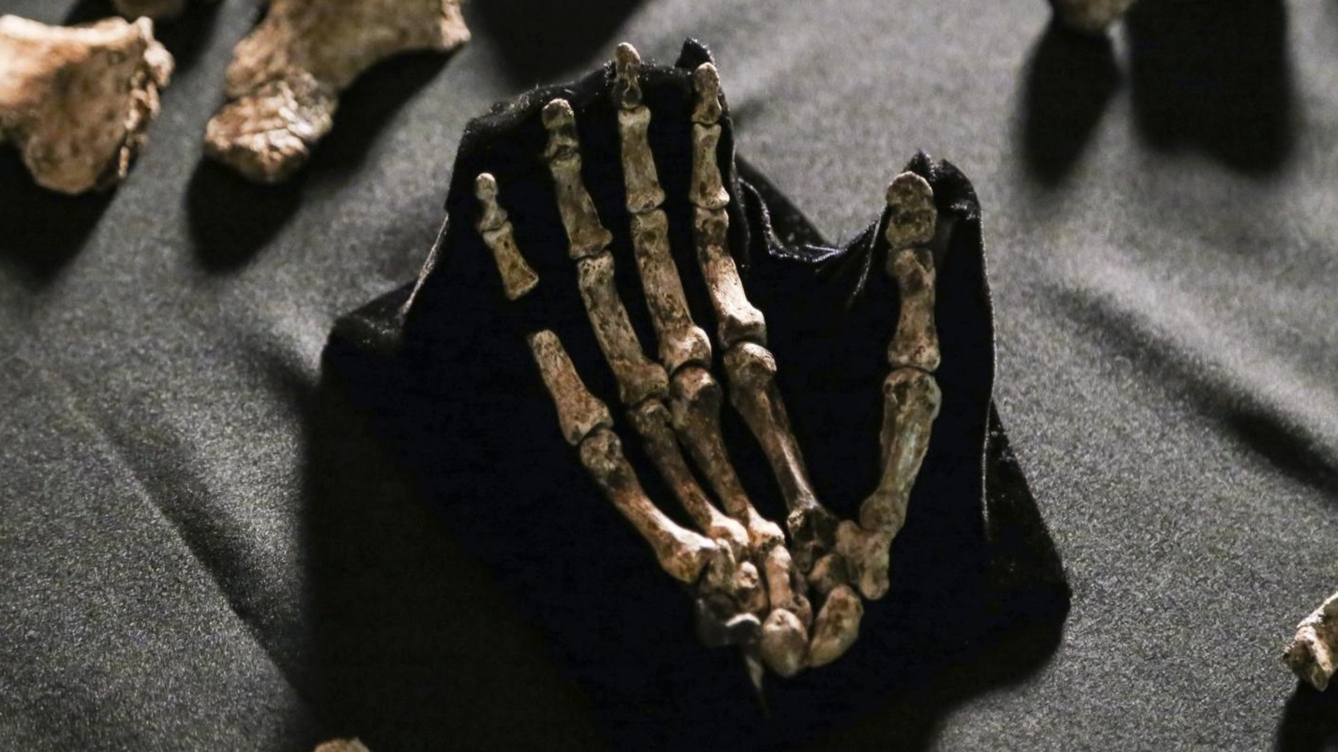 Ancient humans buried dead 120,000 years before modern humans, study sparks debate