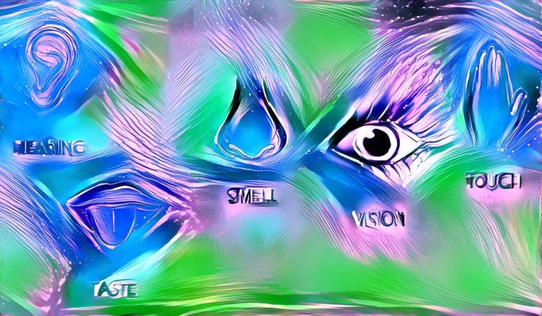 AI Image of the Five Senses