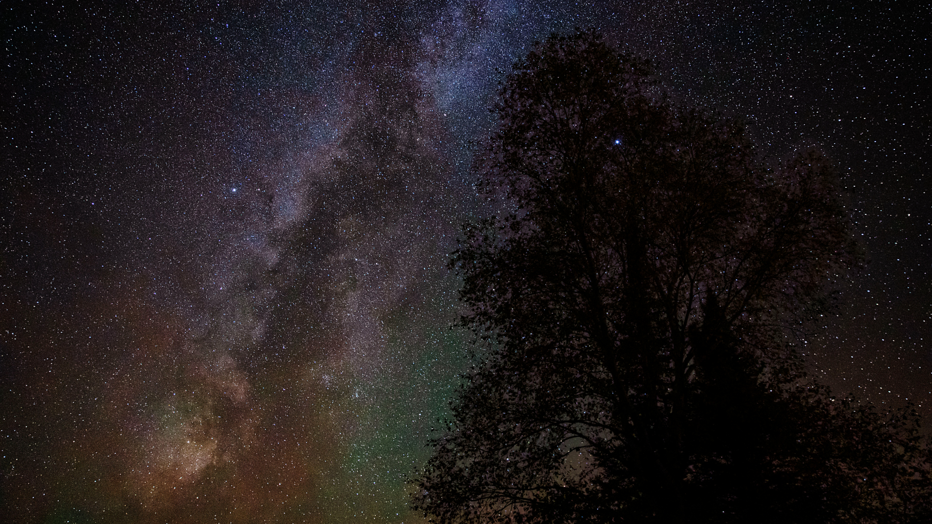 The glowing band of the Milky Way is visible streaking through a starry sky towards the horizon with a tree in the foreground.