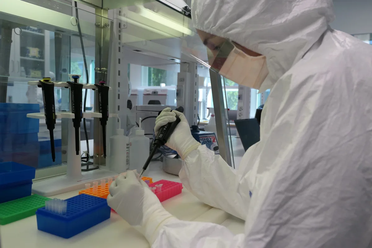 Ancient DNA lab work