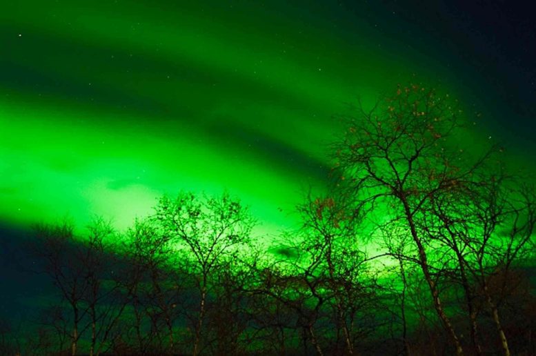 Auroras in the Skies Above Europe
