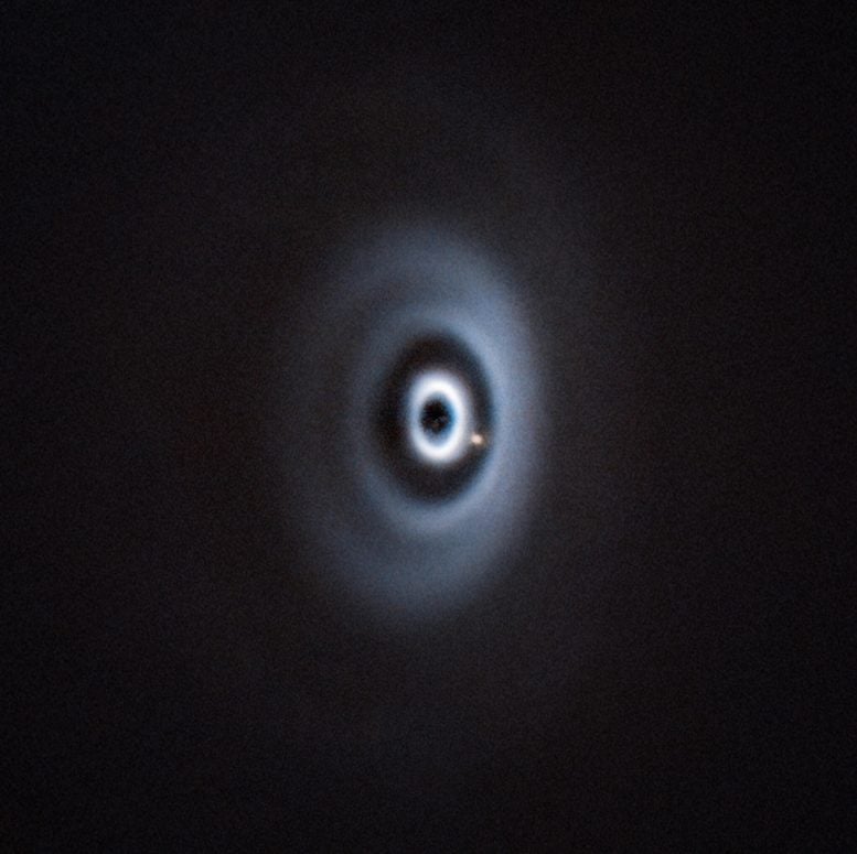 Baby Planet in a Disc With Multiple Ring