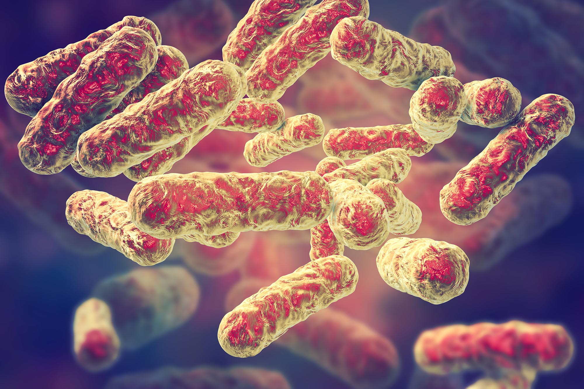 Mysterious New Bacteria Discovered in the Amazon Raises Global Health Questions