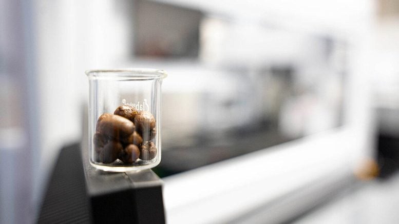 Coffee Beans in Front of the Pipetting Robot