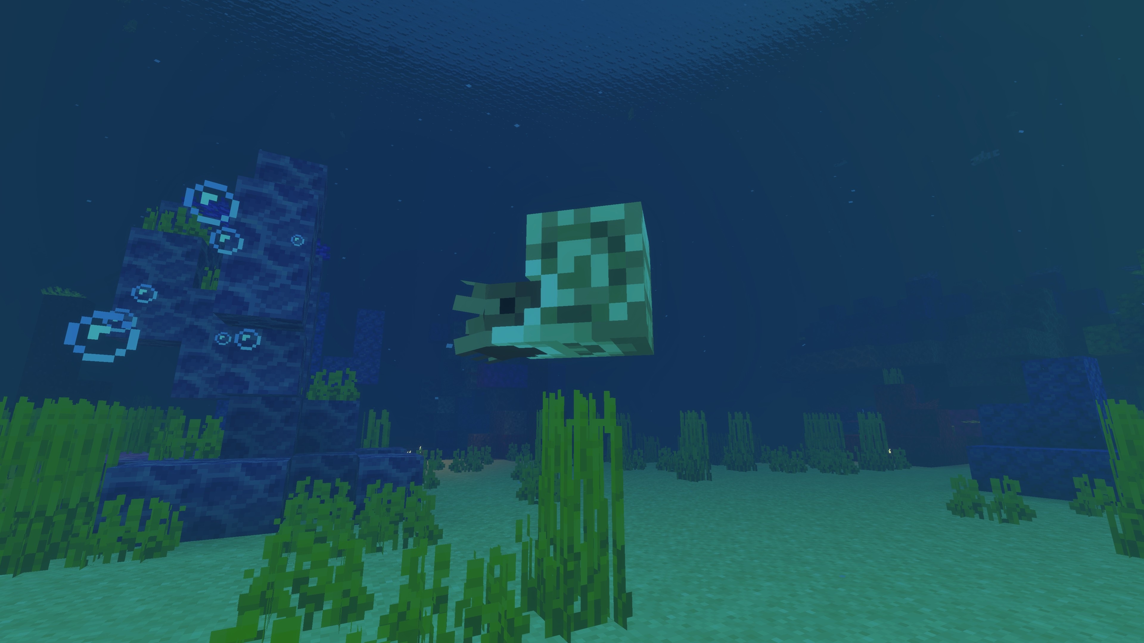 Minecraft LIVE Mounts of Mayhem baby nautilus