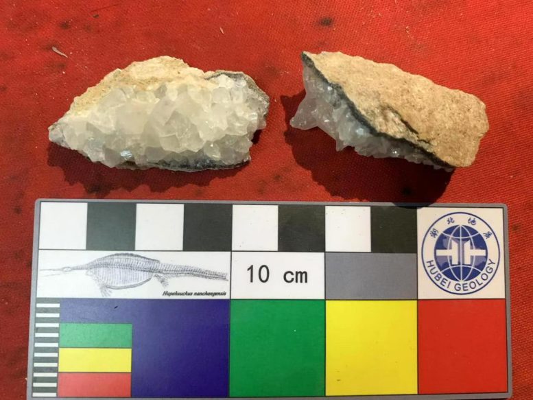 Dinosaur Egg Fossil Sampled for Geochronology