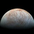 Europa life