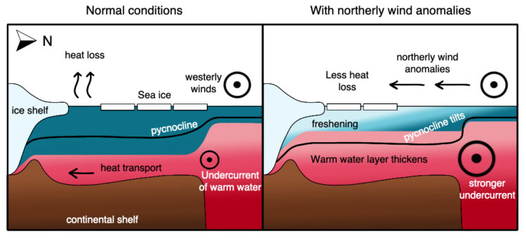 a graphic showing how wind moves the sea ice to increase ice shelf melting and pull in more warm water from farther away.