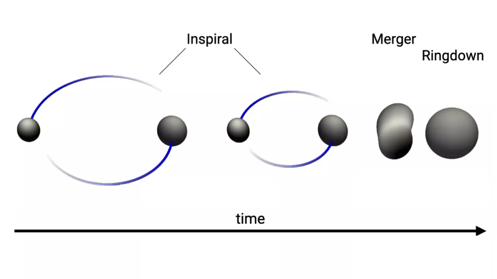 The three phases of a black hole merger each showing different gravitational wave emissions