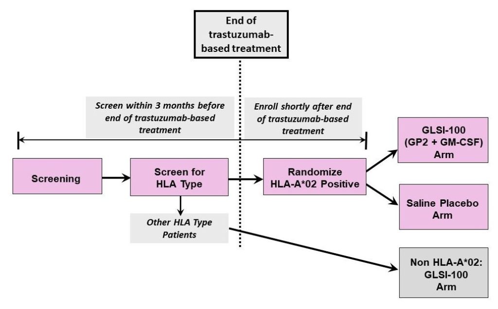 FDA Fast Tracks GLSI-100 for HER2-Positive Breast Cancer Recurrence Prevention