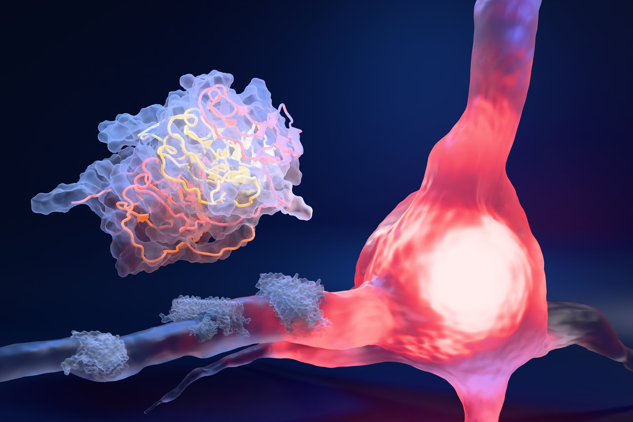 Rare Mutation Reveals Target for Alzheimer’s Disease Prevention